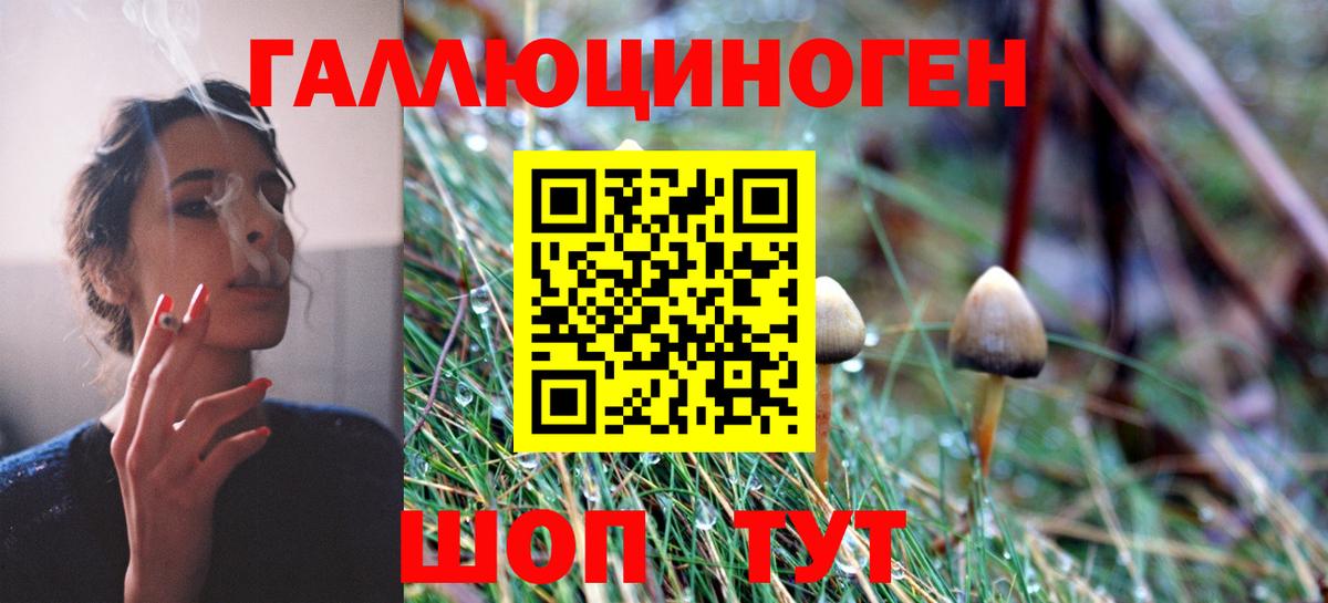 где продают   Галлюциногенные грибы MAGIC MUSHROOMS  Тавда  Вход с VPN  Псилоцибиновые грибы Psilocybe 